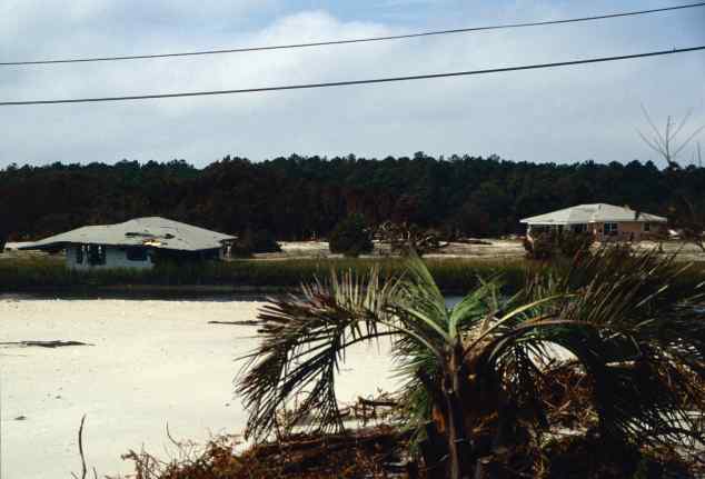 Pawleys Island (Wes Tyler)